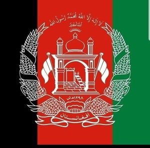 Meet your Posher, Imran omar